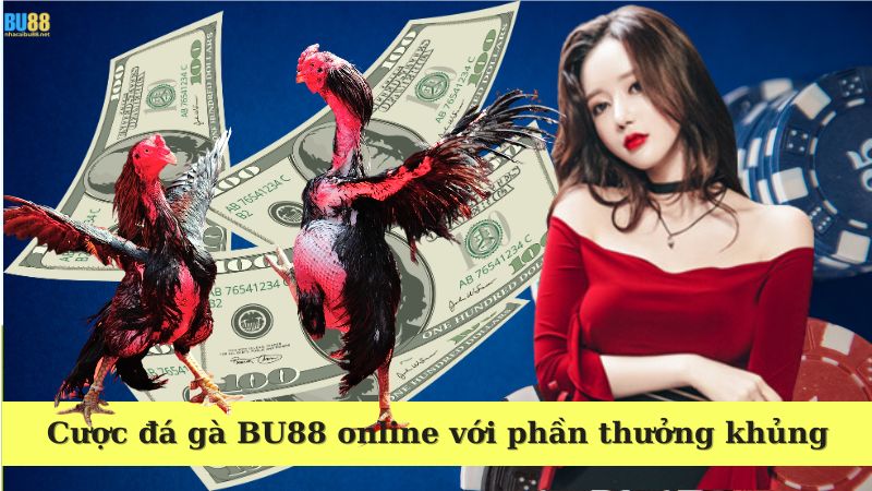 Cược đá gà BU88 online